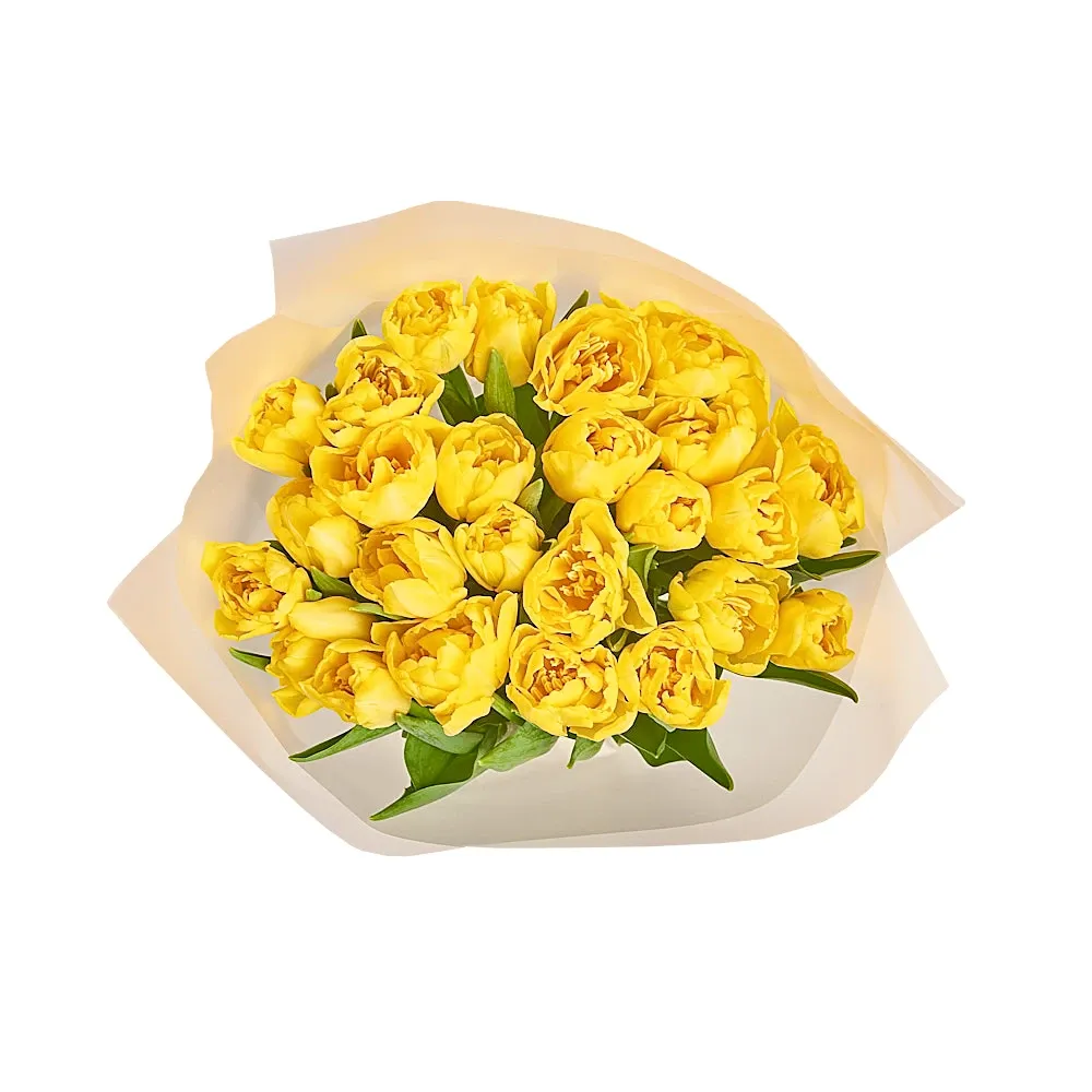 Букет из 25 пионовидных желтых тюльпанов